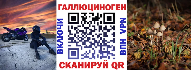 Галлюциногенные грибы Cubensis Купить Чёрмоз